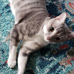 Meet your Posher, Elyse